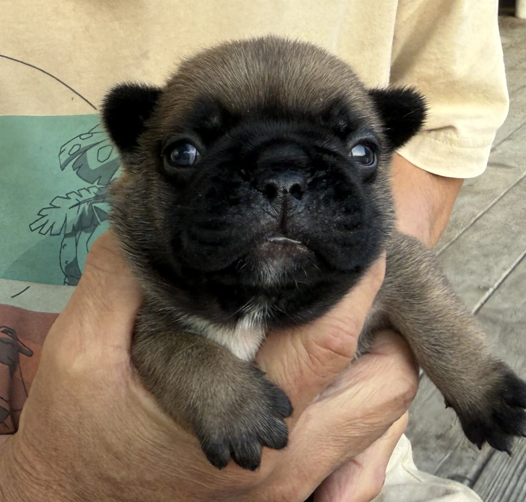 ご家族様募集中