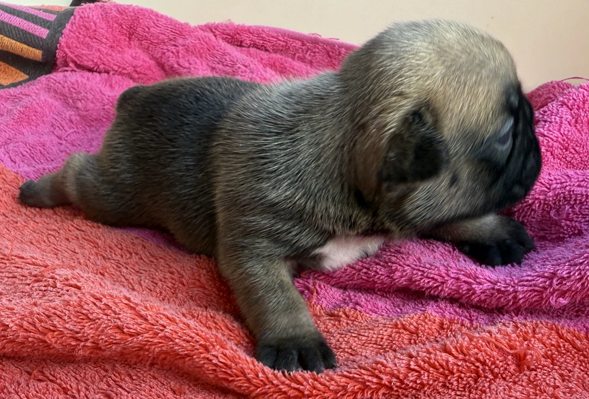 ご家族様募集中