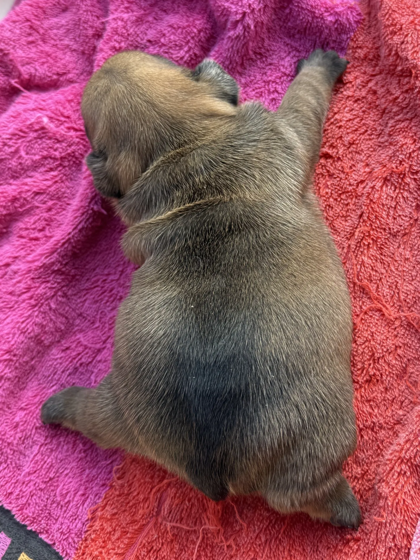 ご家族様募集中