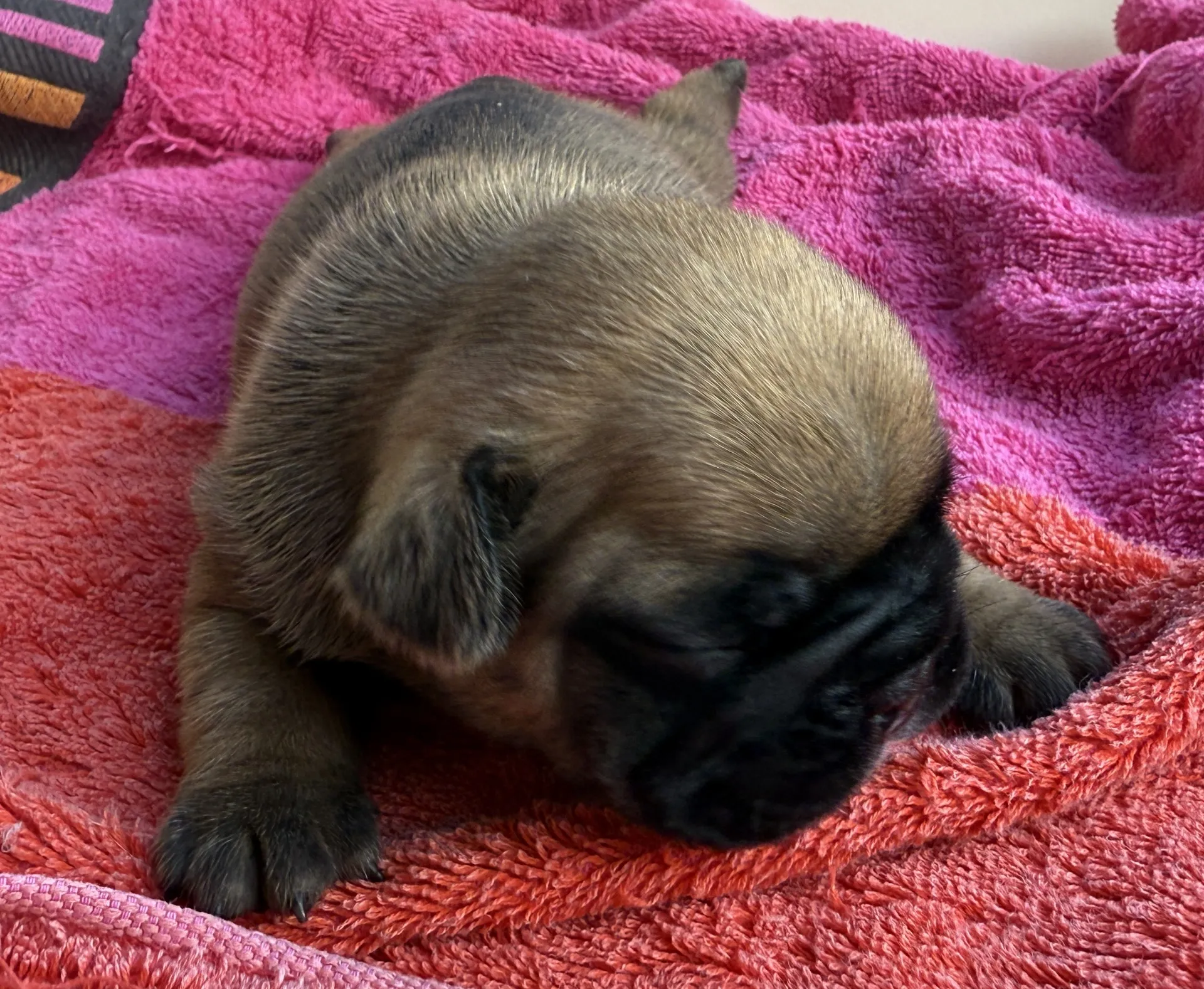 ご家族様募集中