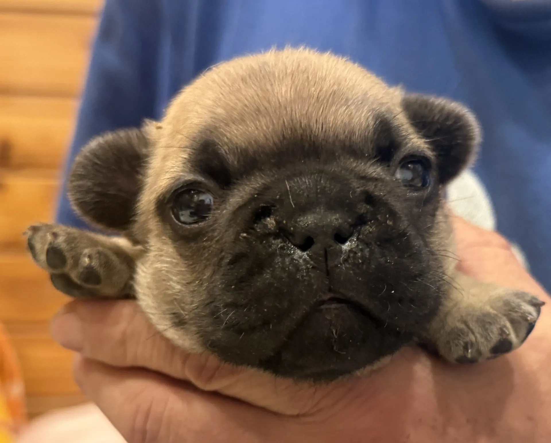 ご家族様募集中