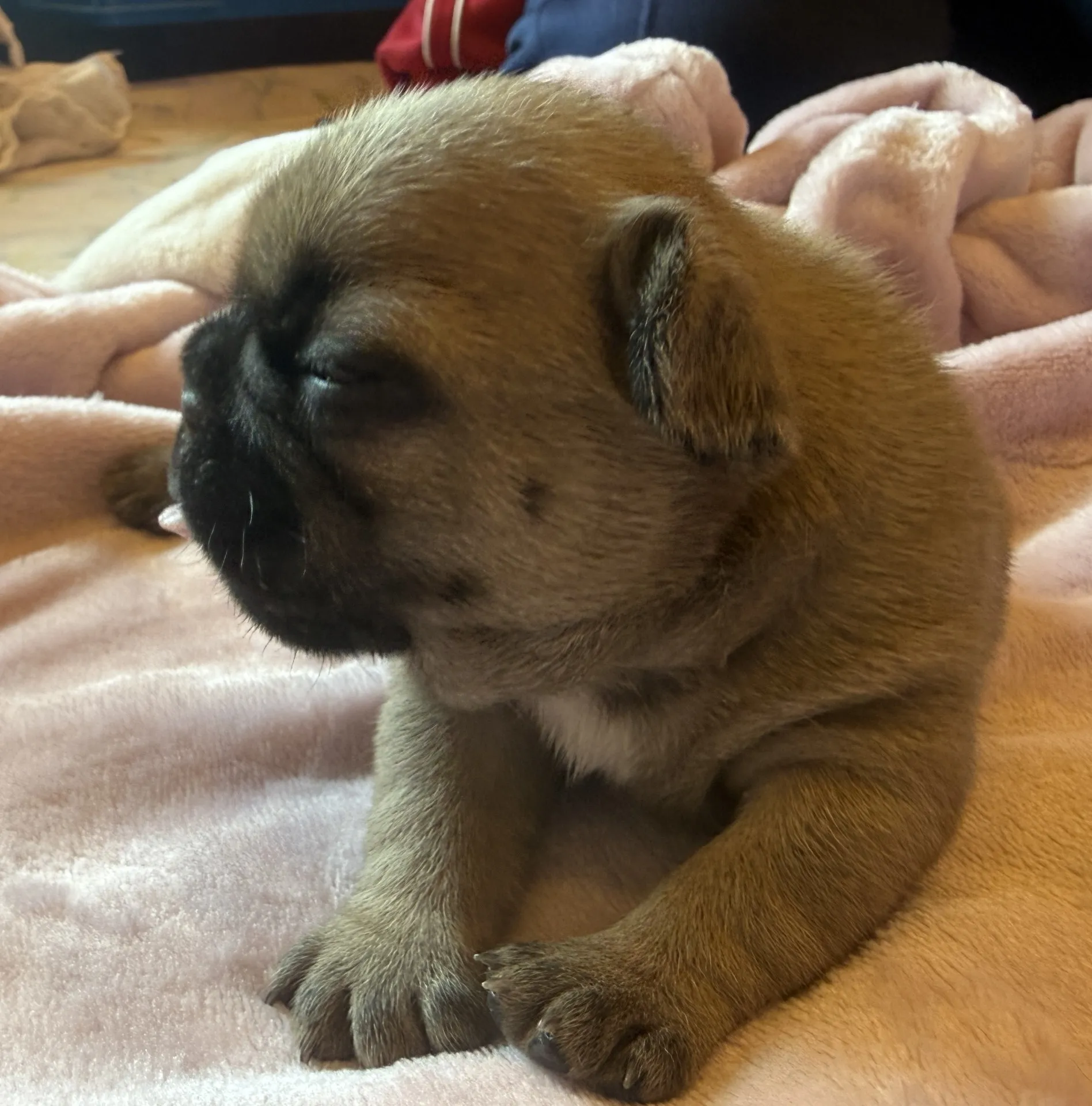 ご家族様募集中