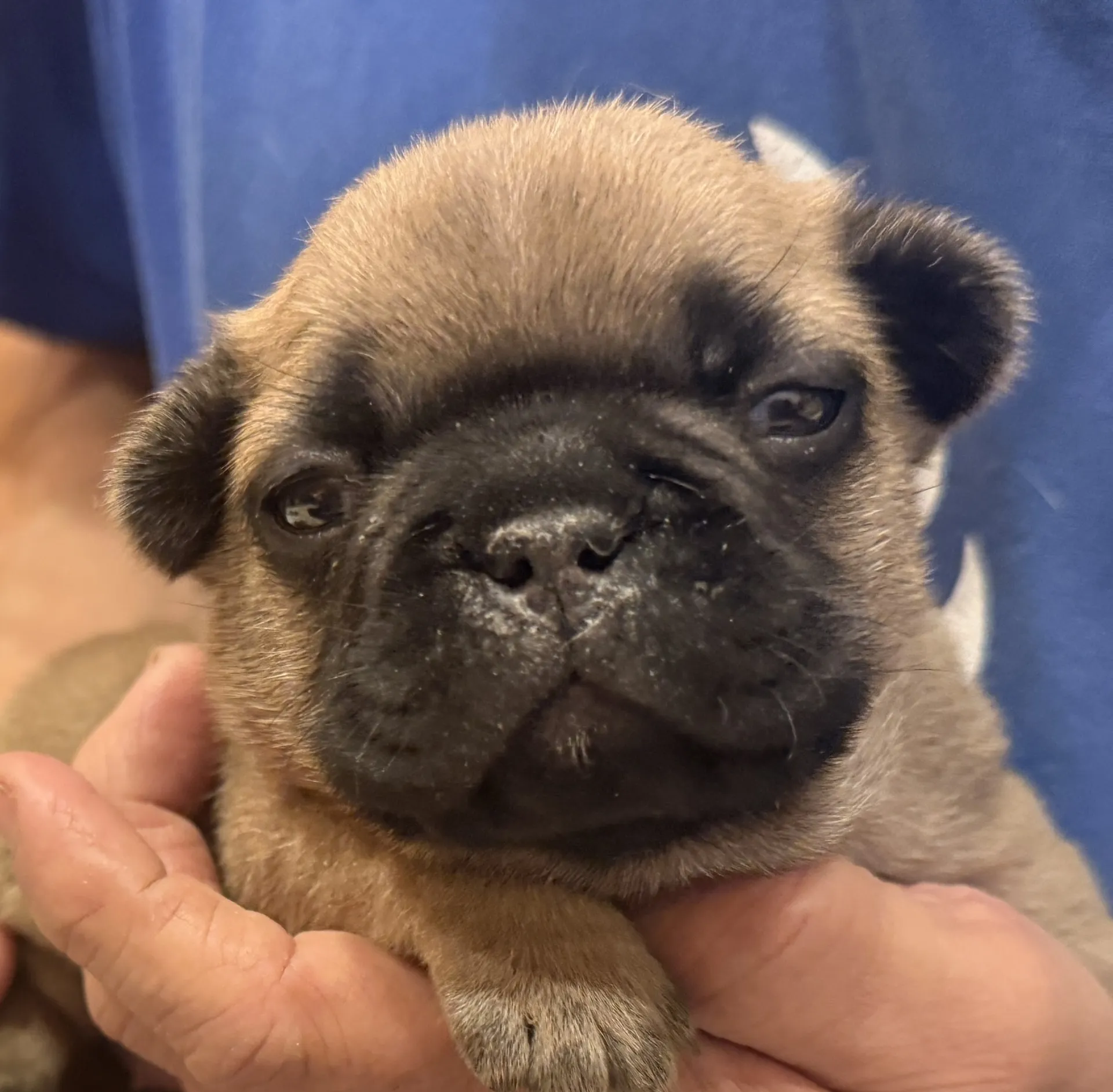 ご家族様募集中